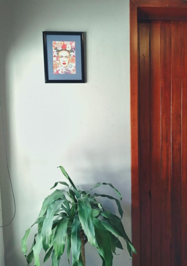 Casa Violeta Hostel Tepic Exterior photo